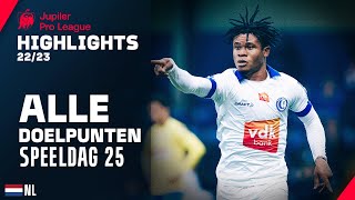 ALLE DOELPUNTEN ⚽🔥 Jupiler Pro League Highlights GD25 [upl. by Onfre]