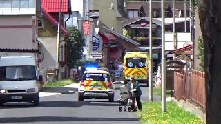 RZP 211 RLP 220 KVK ZKV  RTW NEF Region Karlsbad Tschechien [upl. by Ameg]