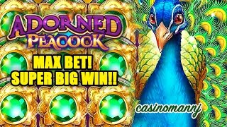 Adorned Peacock Slot  MAX BET  SUPER BIG WIN  Slot Machine Bonus [upl. by Alle91]