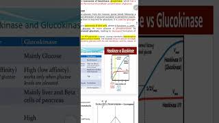 glycolysis part 3 hexokinase and glucokinase [upl. by Acirfa]