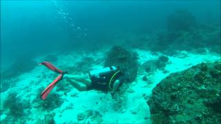 Diving Seychelles GoPro [upl. by Odoric]