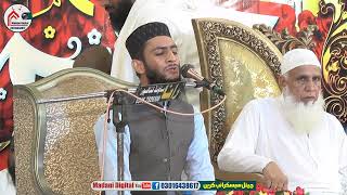 Qari Salman Habib  Tilawat E Quran Kabirwalla 2024 [upl. by Ennairrac]