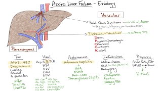 Chalk Talk Acute Liver Failure [upl. by Iaria]