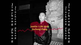 Jincheng Zhang  Lease I Like Birds Official Audio [upl. by Milly]