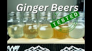 Top Selling Ginger Beer Comparison  Weekend With Reigncane 117 [upl. by Afatsom]