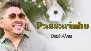 Osnir Alves  Traga Passarinho Clipe [upl. by Eilsel693]