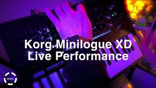 Korg Minilogue XD Live Performance 30 [upl. by Hirai]