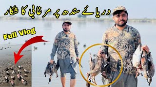 Hunting at indus river  pakistani duck hunting 2024  Murghabi ka shikar مرغابی کا شکار [upl. by Aline]