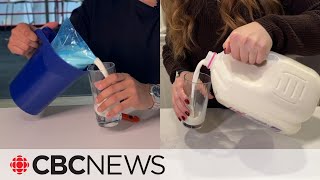 Bag or jug Why milk is sold differently across Canada [upl. by Nalehp]