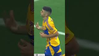 Tigres 21 Inter Miami Golazo de J Brunetta [upl. by Adniles107]