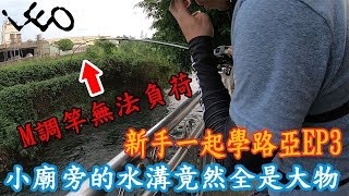 新手一起學路亞EP3 第一次挑戰路亞野場釣魚 竟然釣到怪物 M調路亞竿拉不起來 LEO利歐 [upl. by Zelma]