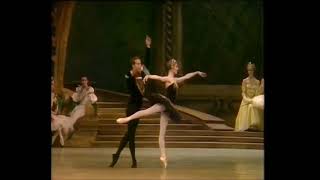 Swan Lake excerpt 3rd act Makarova amp Dowell [upl. by Zigrang]