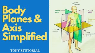 BODY PLANES amp AXIS SIMPLIFIED  Sagittal Coronal amp Transverse Planes [upl. by Ahsratal]