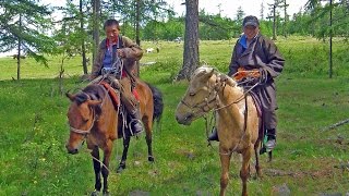 💙 El Caballo de Mongolia II 🐎🐎🐎🐎 [upl. by Artemisia530]