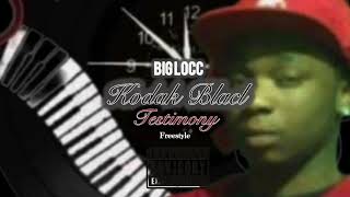 Kodak Black Testimony Freestyle By Bigg Locc [upl. by Myrna]