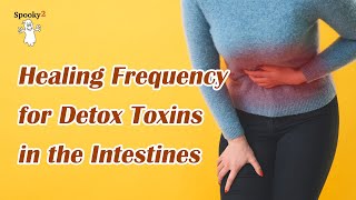 Healing Frequency for Detox Toxins In The Intestines  Spooky2 Rife Frequencies [upl. by Maccarthy]