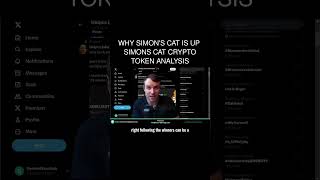 Why Simons Cat is up 🤩 Simons Cat Crypto Token Analysis [upl. by Idnek700]