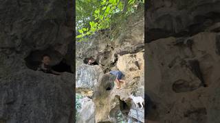 The Child Stuck in the Cave is Rescued by the Dog pet dog lovedog [upl. by Terriss]