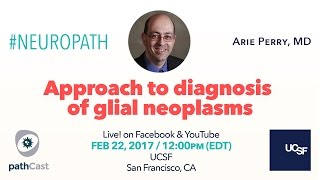 Approach to diagnosis of glial neoplasms  Dr Perry UCSF NEUROPATH [upl. by Assirek240]