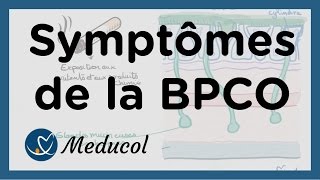 Physiopathologie et symptômes dune bronchite chronique BPCO [upl. by Marlette]