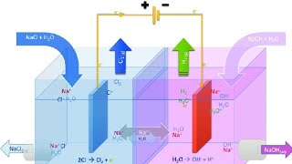 Process of chloralkali [upl. by Page601]