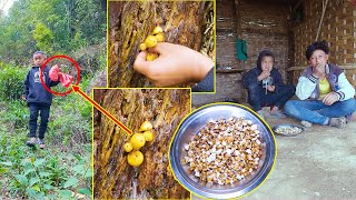 We are Picking wild mushroom in Jungle  Enjoying Popcorn togetherManjitamrnati [upl. by Nrojb917]