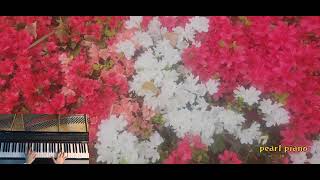 Chopin  quotAeolian Harpquot Etude Op25 No1 소팽 에튀드 quot 에올리언 하프quot🎹💓 [upl. by Helena]