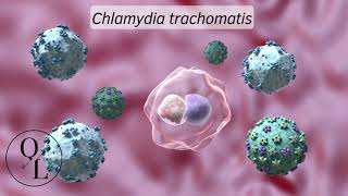 Chlamydia trachomatis Tracoma Infección de Transmisión Sexual [upl. by Taft]