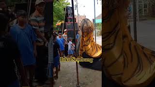 Singo barong JOKO SEMBUNG shorts remix viralshorts [upl. by Christal]