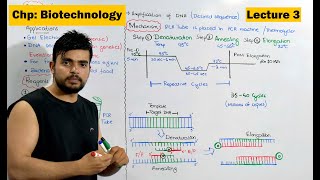 PCR  Polymerase Chain Reaction  Video 3 [upl. by Bertila]