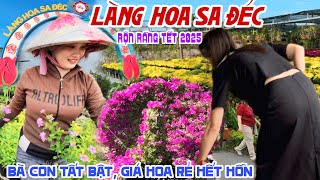 Rộn Ràng LÀNG HOA SA ĐÉC 2025 Bà Con TẤT BẬT CHUẨN BỊ HOA ĐÓN TẾT  BÁO GIÁ HOA TẾT RẺ HẾT HỒN KPVL [upl. by Anwahsiek]