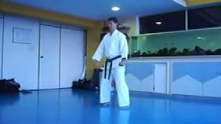 SEIENCHIN KATA SEIGOKAN GOJURYU R TAKESHI SEIGOKAI  SENSEI FUKUCHI [upl. by Padegs]