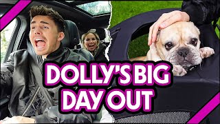 JOES CHAOTIC DRIVING amp DOLLYS BIG DAY OUT  BAGGS FAMILY VLOG [upl. by Octavia]