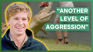 Robert Irwin Trains Casper For The Crocodile Show  Crikey Its The Irwins [upl. by Bianka]