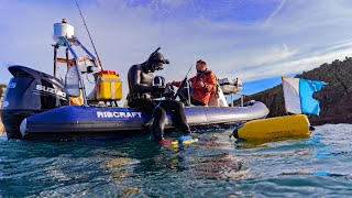 An EPIC DAY Spearfishing in November  Massive Bluefin Tuna Feeding Frenzy [upl. by Lienet365]