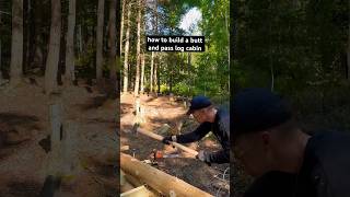 How To Build Butt and Pass Log Cabin  Securing Logs wo Notching logcabin offgrid adirondacks [upl. by Atsev]