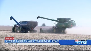 Faribault soybean farmer shares 2024 harvest update [upl. by Whang418]