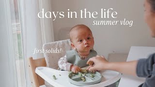 summer days in the life week of groceries starting Zeke on solids yummy recipes amp more [upl. by Bauske]