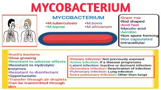 Mycobacterium II Type of infections II Medical microbiology Part1 [upl. by Leal]