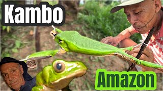 Taking Kambo medicine 🐸Poisonous Amazonian Frog With the Indigenous Matses People Amazon jungle Peru [upl. by Aniraad]