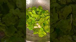 Pudina  Mint  chutney simple recipe [upl. by Anuhsal]