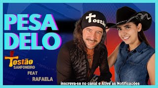 Pesadelo Tostão Sanfoneiro e Rafaela AO VIVO [upl. by Sikes309]