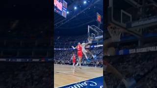 Lebron swing reverse dunk on German player teamflightbrothers [upl. by Tnomed736]