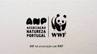 Alberto Novo  ANP amp WWF Portugal [upl. by Cressler]