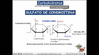 Glucosaminoglucanos  Ac Hialurónico Heparina Sulf de Condroitina  Carbohidratos Parte XIV [upl. by Adriene]