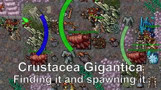 Tibia Finding and Spawning Crustacea Gigantica Mount and Bestiary [upl. by Ynohtnaed]