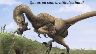 que es Un saurornitholestinae [upl. by Notfol]