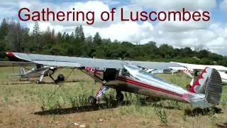 Luscombe 8A Silvaire cn 1990 cr N45463 [upl. by Lama918]