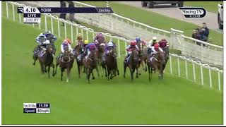 Race 5 1610 York 21 Aug 2024 Sky Bet Stayers Handicap [upl. by Sidoney]