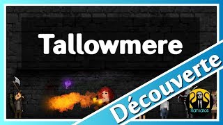 Présentationdécouverte Tallowmere FR PC Mini Roguelike bien fun [upl. by Silvain869]